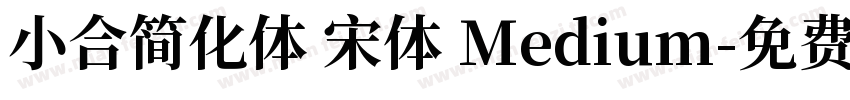 小合简化体 宋体 Medium字体转换